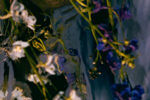 Your Clients Mirror Your Growth. Who Are You Attracting?