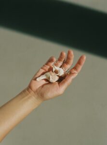 7 Compelling Reasons to Prioritize Social Media Strategy in Your Marketing Plan