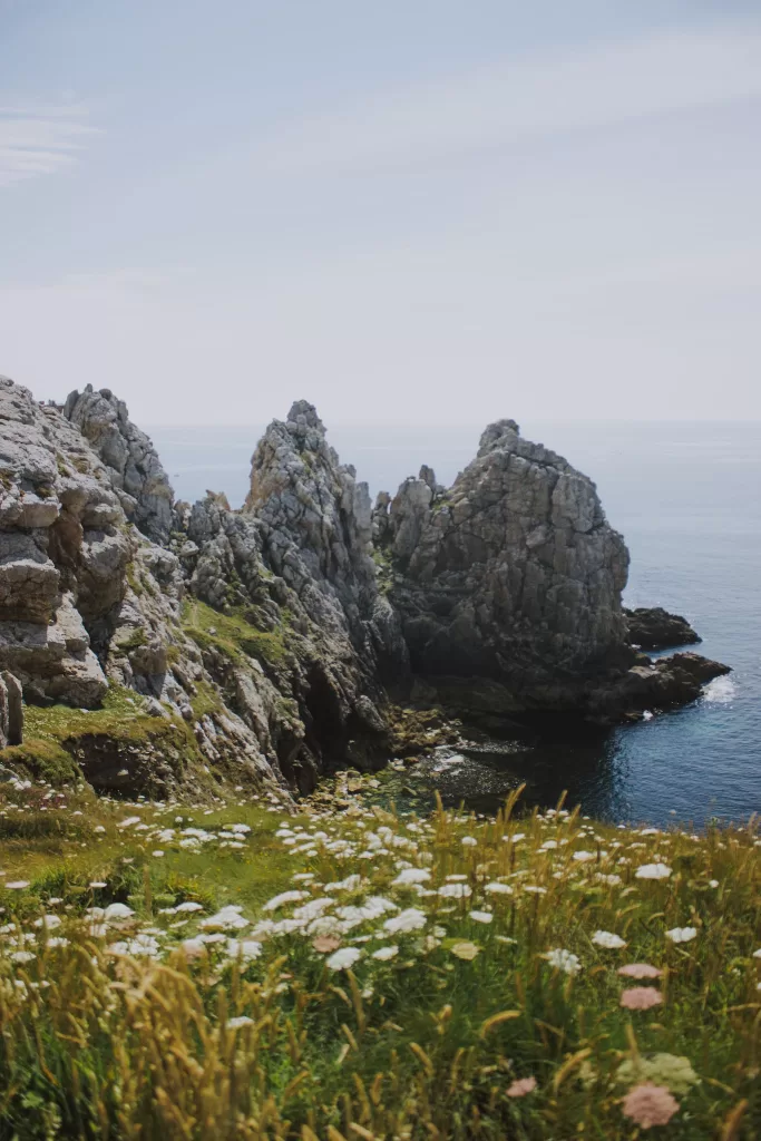 Picturesque view of rough stony formations located near calm water of endless ocean and green grassy terrain with white flowers