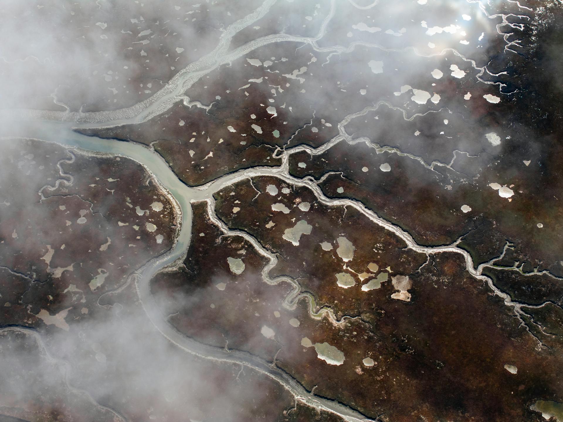 seo strategies for effective blogging