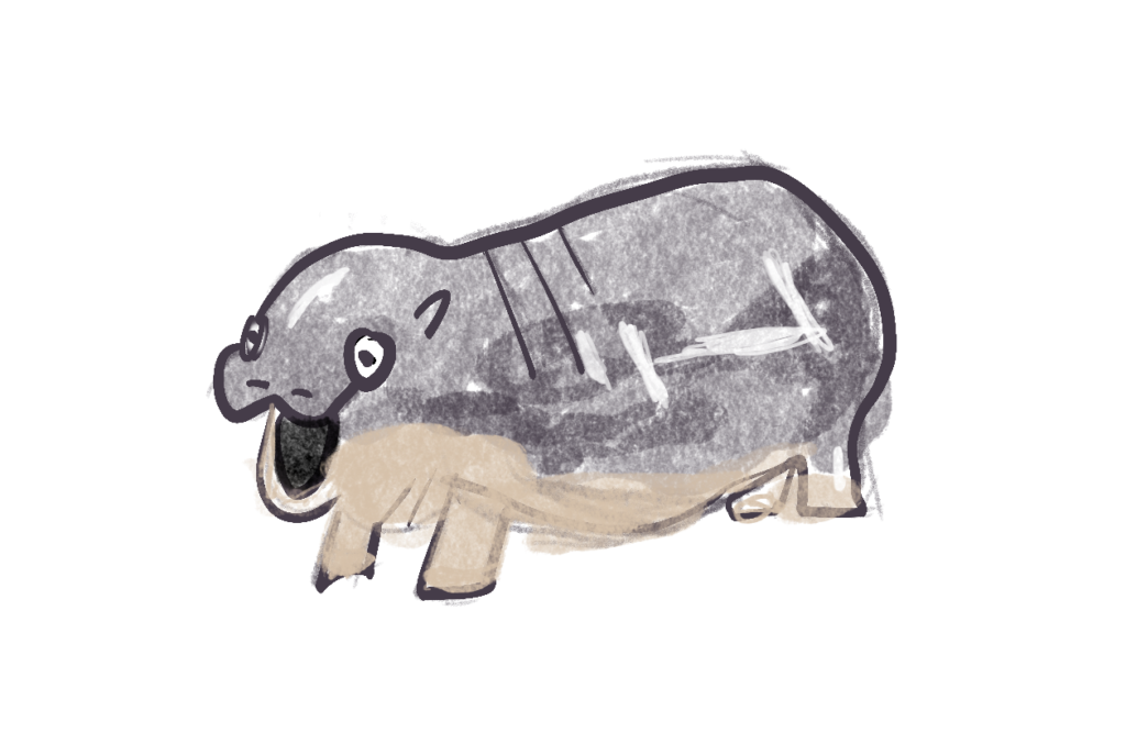 illustration-of-moo-deng-the-pygmy-hippo-image-licensing